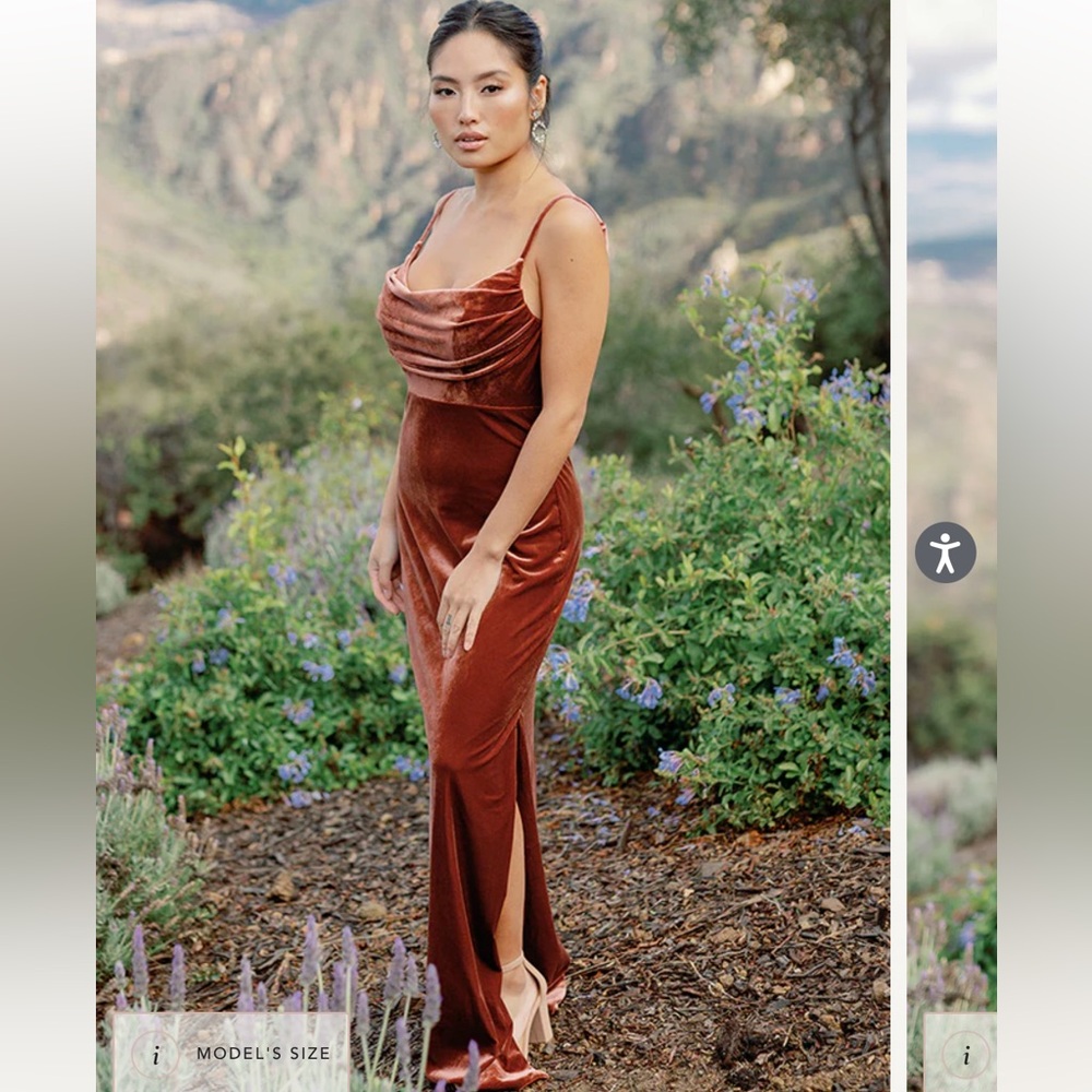 Revelry Skye Velvet Dress Terracotta